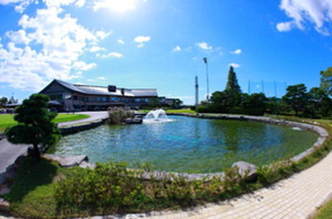 ��μ� 2���� �������ؼ�������Ʈ �������� 17�� ����