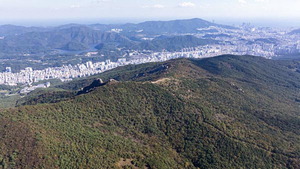 ����ȿ�� 6�� ���������������� �� �ô� ����