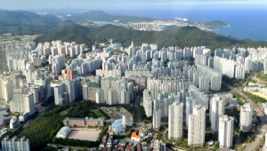 �λ� ����Ʈ�� 13��° ��������������� Ŀ��