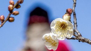 ���� �հ� Ȱ¦