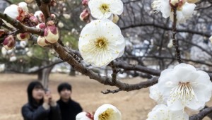 ���ѿ� ���� �ɸ���