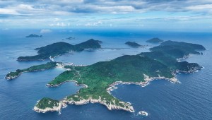 ���� �Ź��� �������� �������� ����