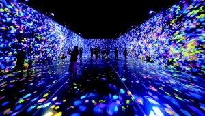 �뿵 ���� �����Ƕ��� 31�� �簳��