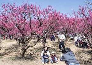 ��巯�� ��ȭ, ���� ����