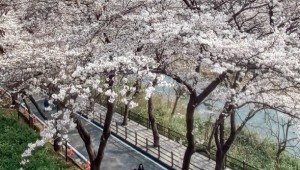 �ϵ� ȭ������ ��������, 8�� 8000�� �� �߱�