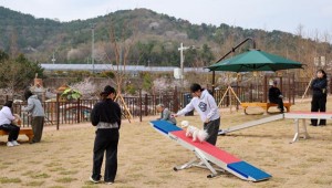 ������̿� �Բ� ������䡱 ��ꡤ���� �ݷ��� ���� Ȱ¦