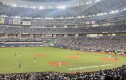 ��� 7�ð� �� ������ ���Ρ��Ļ硦���� ���� ������