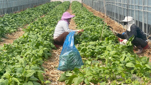 �λꡤ�泲���� ���⿡ �ܱ��� ���� �ٷ��� 8392�� ����