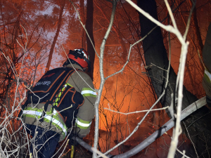 ��� �Ǽ� ��� 3�ð� ���� �ֺ� ��ȭ�������� Ȯ�� ����