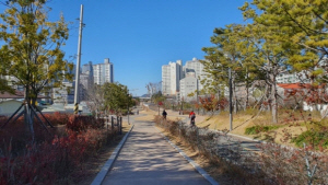 �λ������� ö�� ���� ���� Ȱ�� ��� � �� ������