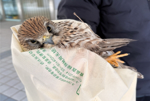 �ؿ�� ���ҽ�Ƽ ���� �ܺ��� �ε��� Ȳ������ ����