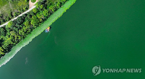 �����̸� '������' ������, ���� 1��� ������� ������å ����