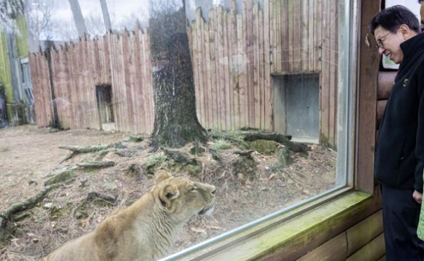 �� ��������ũ, �ø� ������ �ȴ�