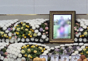 �ڳ� ���� �� �شܼ��� ���������θ� ������ �ƴϴ١�