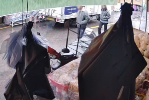 ´ë±¸ 'ij¸®¾î ½Ã½Å' ÇÇÇØÀÚ Àå¸ð, »çÀ§ Æø·Â¼ µþ ÁöŰ·Á ¿ø·ë µ¿°Å