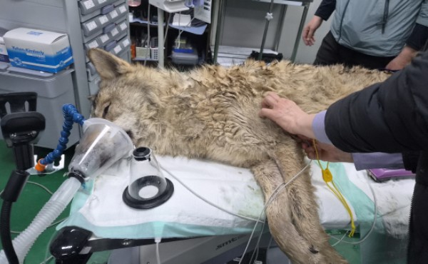 ���� ������ Ż�� ���� �������� ���길�� �������ǰ��� �̻� ����