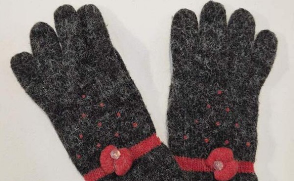 ȸ   尩 ޾ơ̰ ߰ſ ùο롱