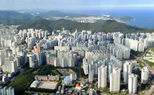 �λ� ����Ʈ�� 12�� ���� �衦 ���°� ������� Ŀ��