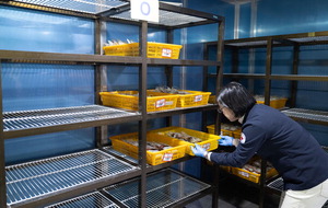 ���� �̰� ������ ���ڡ� 23�� �λ꼭�� ���� �����·���