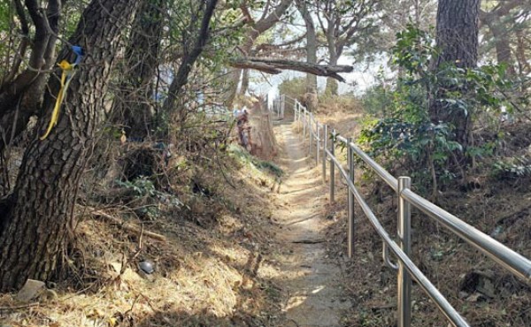 �� ���� �����������߱��� ������ �����