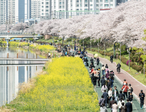 ºÎ»ê¡¤¿ï»ê¡¤°æ³² ´ëü·Î ¸¼À½¡¦³· ÃÖ°í±â¿Â 20¡24µµ