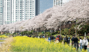 �λ� ��� �泲 ���� ���ơ��泲���� ū �ϱ���