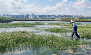 µ¹¾Æ¿Â ¡®ºí·çÄ«º»¡¯ ÀßÇÇ¡¦°æÁ¦¡¤»ýŰ¡Ä¡ ¿¬±¸ Àý½Ç