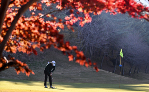 25ÀÏ ºÎ¿ï°æ 5mm ¾ÈÆÆ ºñ¡¦³· ÃÖ°í±â¿Â 12~16µµ