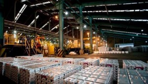 �����ƿ�, ڸ�� 11�� �Ը� ���ü� ���´�