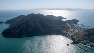 �������Ű��� ���� ����������������ü ���� �� ����