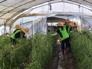 ����� ���� ���� ���� �����̵� ���̼��䡱