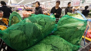 "�� ���ʻ� ��� ������弭 29��6500�����۳⺸�١�"