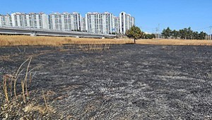 ��ȭ�� ����� �������� ��ȭ 50�� ���� ���ӿ��� ��û