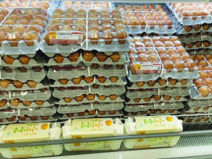 ��� �̷��� ��ճ������� '����' ��Ȥ, ���� ���Ǵ� ������