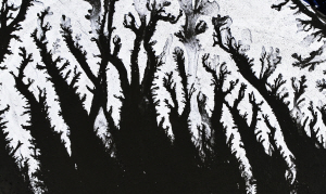 ���Ϻ��� �ָ����� �����������ʼ� -40�� �� ���� ����