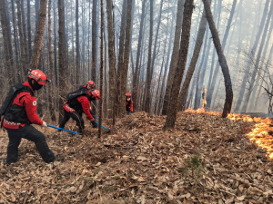 ���� ����� ���� ����, �� �� �ǵ� �볳 ���١��������롤���� ��Ģ õ��