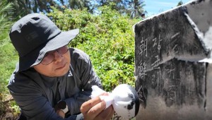 â����, �Ͽ��� �����̼� ����� 34�� �߱������� ��û