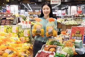 ��������, �ڱݼ�����Ȩ�÷��� ��� �����