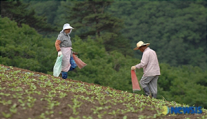 ����濵�� �����, �Ͻ� ����ص� ����� �ڰ� ������ �� �־�