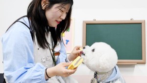 ����̵� ���� �ӹ��͡����ϻ��塦�Բ� ����Ʈ Ÿ��