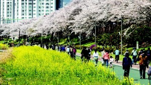 ¿ÃÇØ ³«µ¿° º¢²ÉÃàÁ¦µµ Àå¾ÖÀÎ ¿Ü¸é