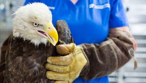 ºÎ»ê½Ã, ¿Ü±¹ÀÎ °ü±¤°´¿¡ ¼ºÎ»ê±Ç ¸ÂÃã Åõ¾î