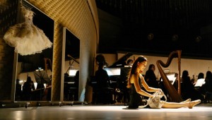 ���� �� ������ �����Ρ����������� ���λ� �߷���