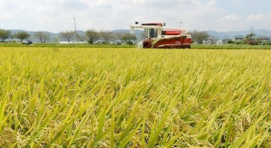 ���� ���� ���� ���� �������� �ӵ� ������