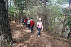 ������ ���� ��Ų ���� ��� ������ �ֻ�