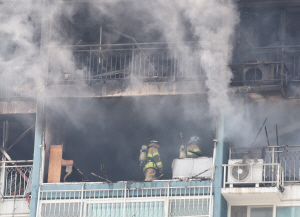 ��� �ǿ� ����Ʈ�� �ҡ�1�� �߶��� ������ �߰� ����� �߰�