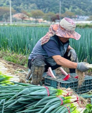 ���� ���� �޶��� ���� ����� ����򡦼Һ� ���� ȣ�ҹ�