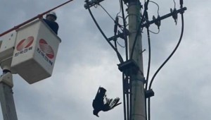 �� ���������λ� ���� �������ܼ� �յ���