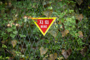 DMZ��� �������� ���۱���ء��̶�� �������Ϻ� ����ȭ���� ������