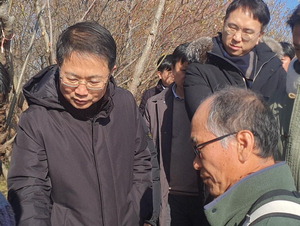 ���� ��������, ���ۻ�Ρ��߷� �ٴ� �ǻ��